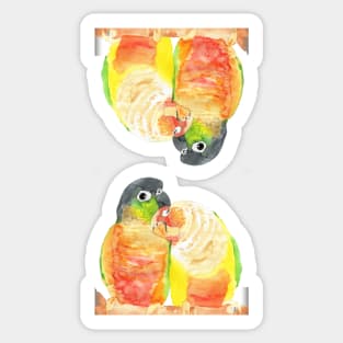 Green-cheeked conure lover watercolor pattern Sticker